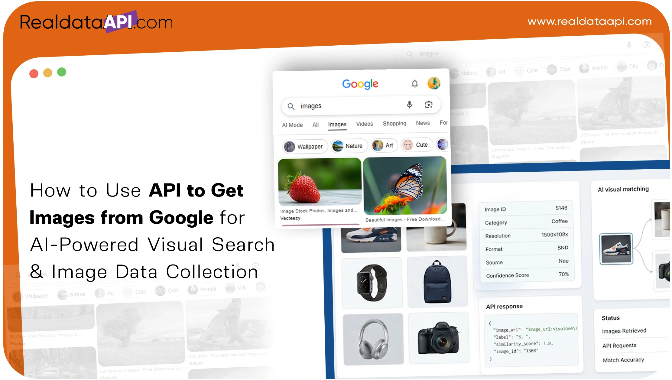 How to Use API to Get Images from Google for AI-Powered Visual Search & Image Data Collection