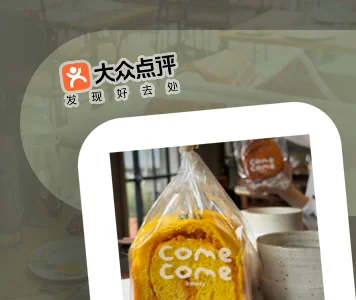 Dianping API for Restaurant, Rating & Location Data