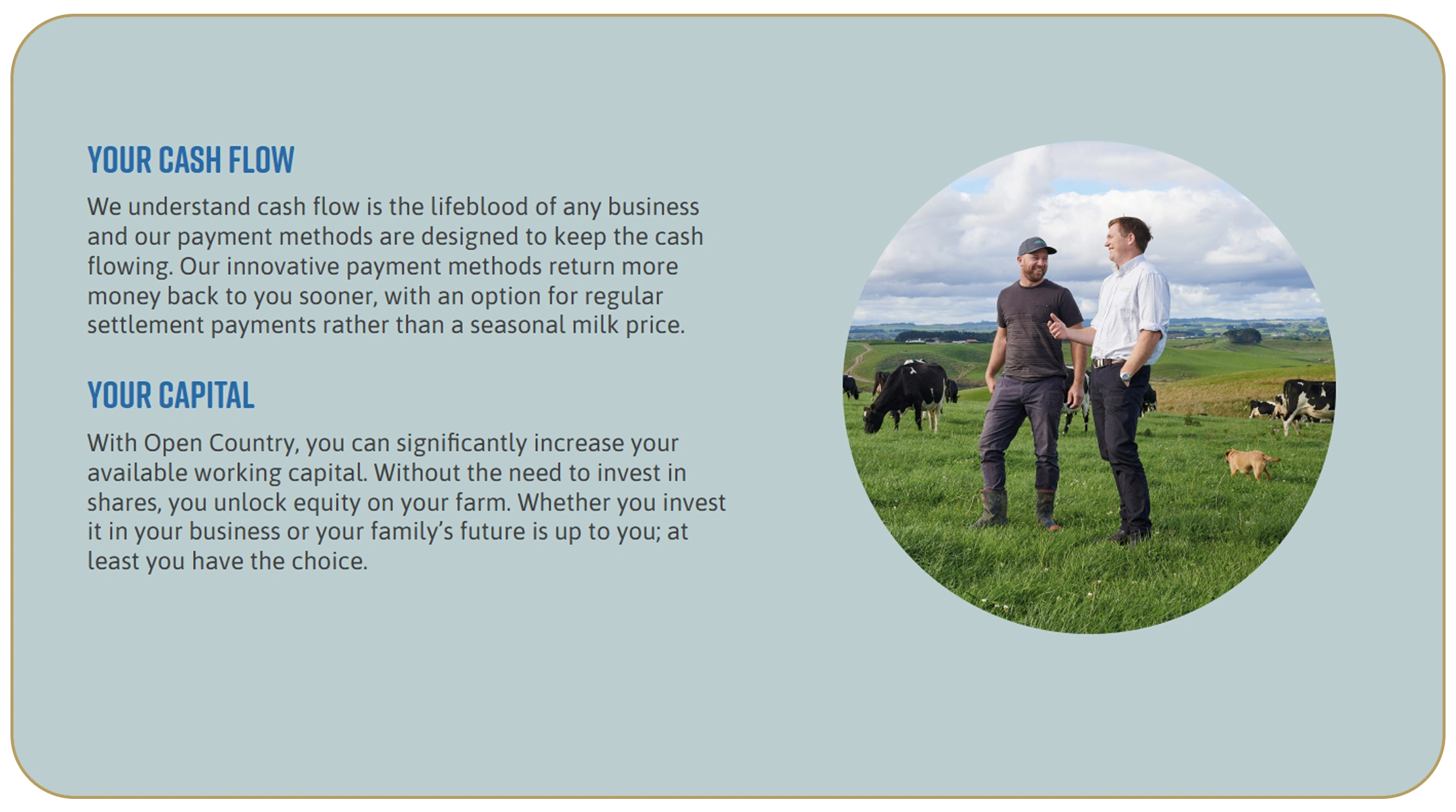 Enhancing Data Accuracy with Automated Extraction Tools