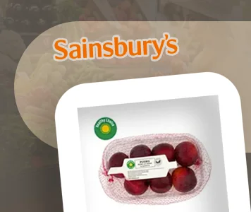 Sainsbury's Grocery Data Web Scraper