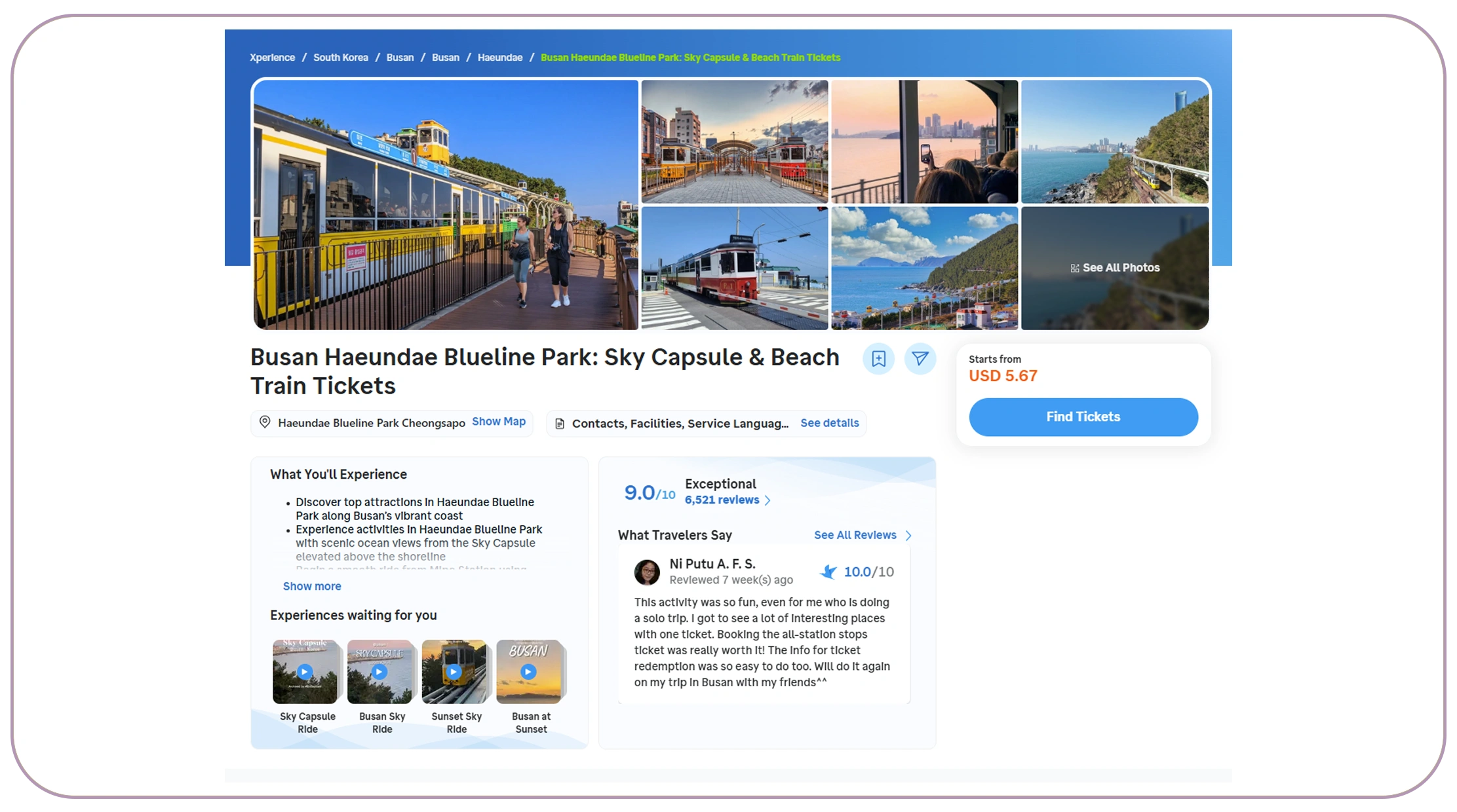 How Can Hotel Availability and Pricing Data Support Better Decisions